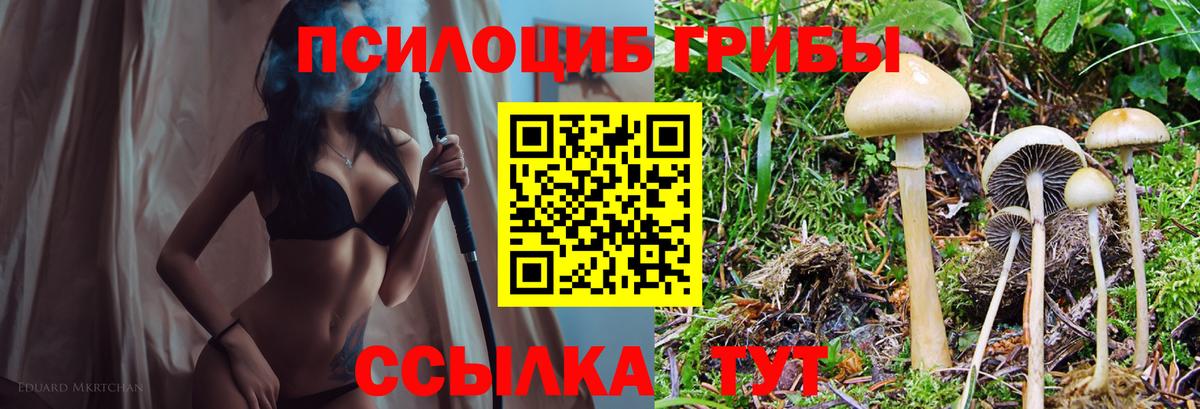 Псилоцибиновые грибы мицелий  Галлюциногенные грибы Cubensis  Вход с VPN  магазин продажи   Елабуга 